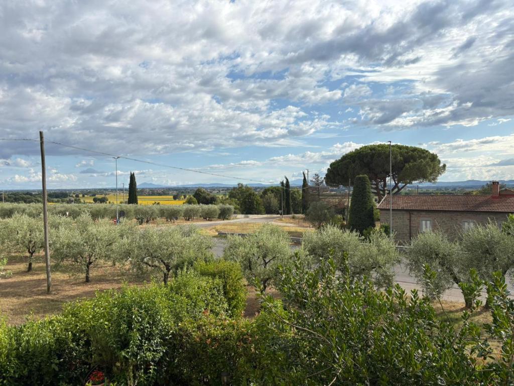 Guest House Fiore di Loto